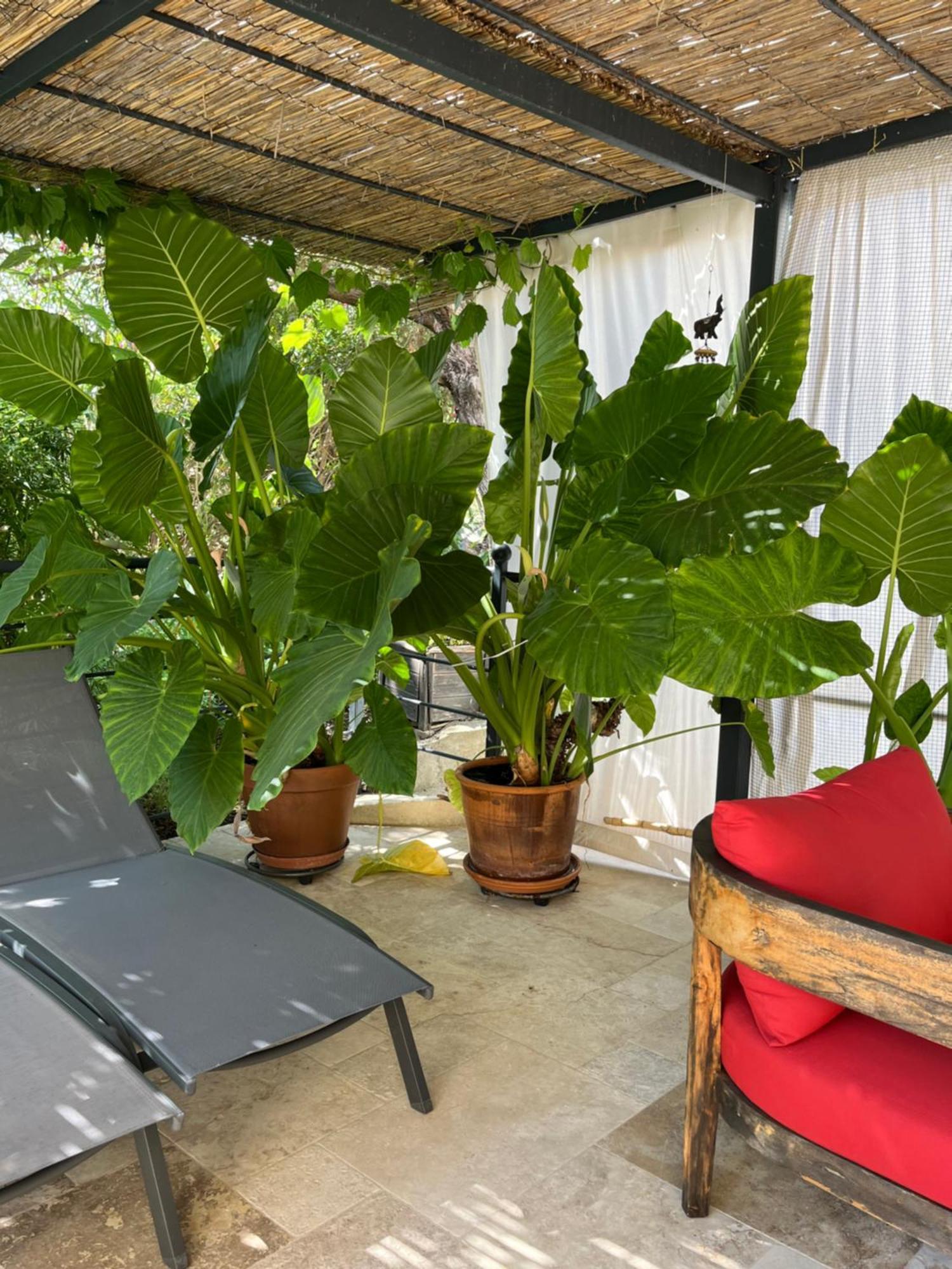 La Bergerie Apartment Domessargues Екстериор снимка