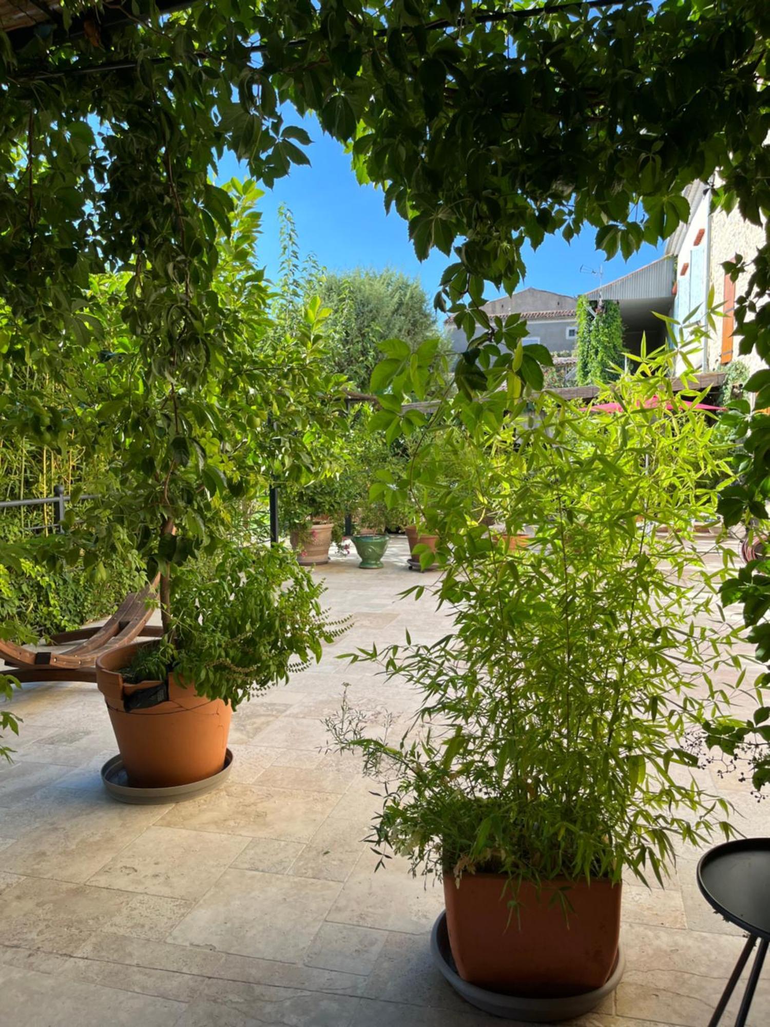 La Bergerie Apartment Domessargues Екстериор снимка