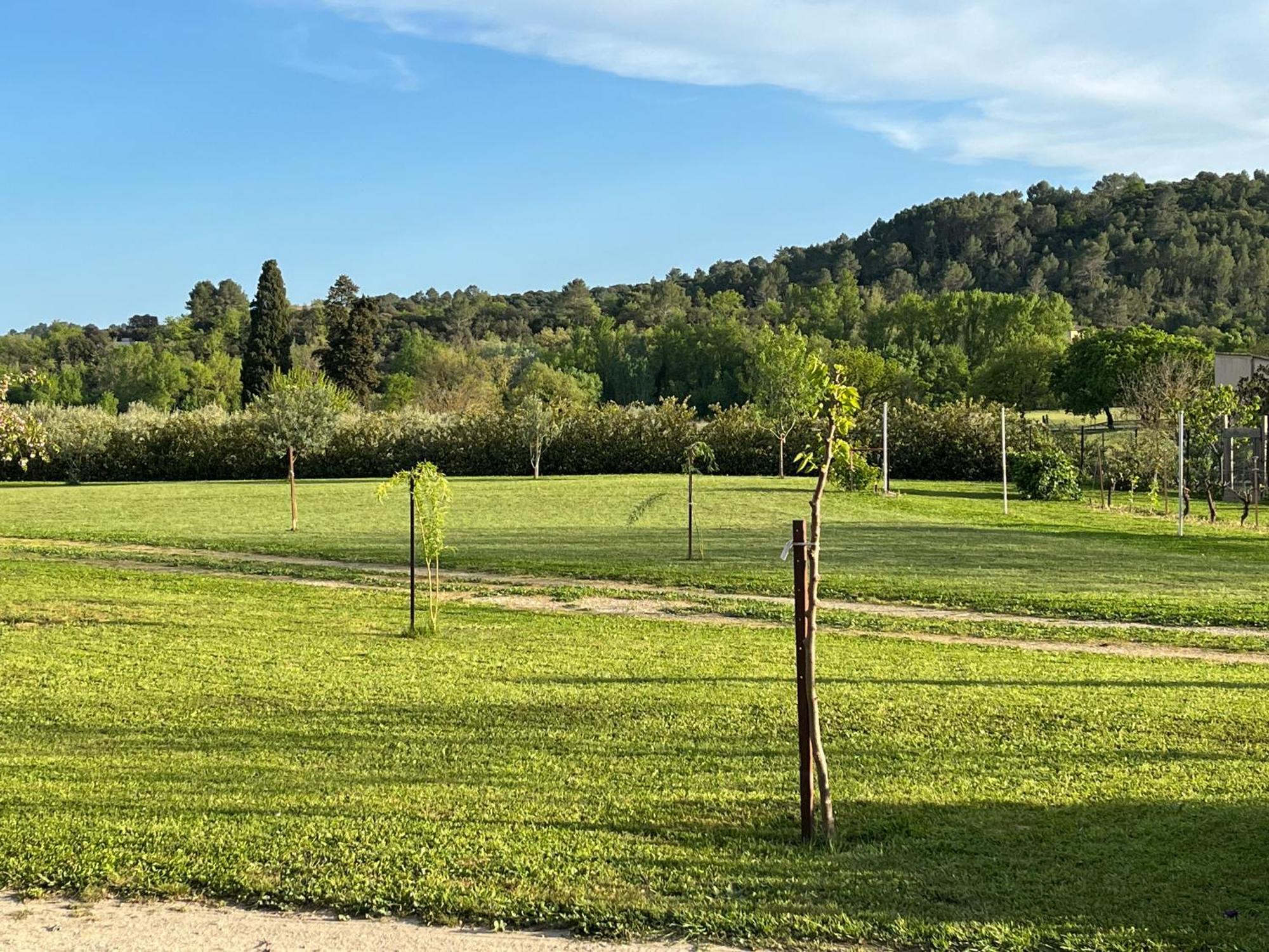 La Bergerie Apartment Domessargues Екстериор снимка
